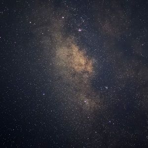 Meet your Posher, Estella